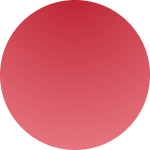 nachtfalter